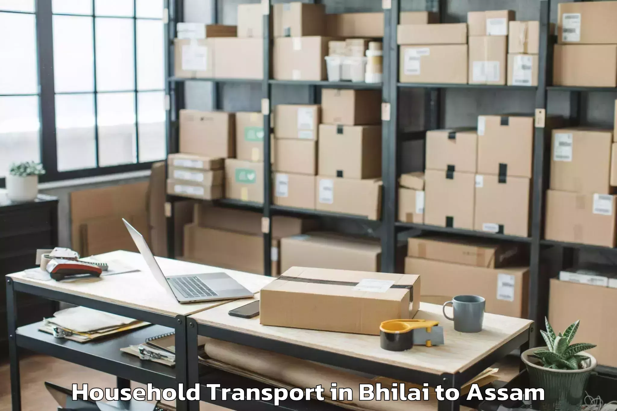 Professional Bhilai to Borjhar Airport Gau Household Transport